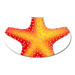 Starfish Oval Magnet by BangZart