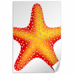 Starfish Canvas 24  X 36  by BangZart