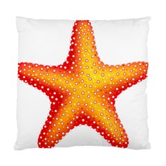 Starfish Standard Cushion Case (one Side)