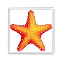 Starfish Memory Card Reader (square)  by BangZart