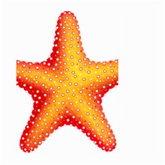 Starfish Large Garden Flag (two Sides) by BangZart