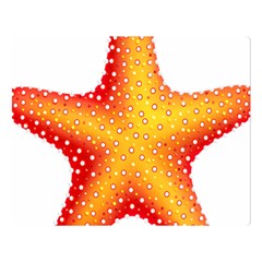 Starfish Double Sided Flano Blanket (large)  by BangZart