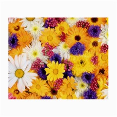 Colorful Flowers Pattern Small Glasses Cloth by BangZart