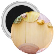 Sea Shell Pattern 3  Magnets