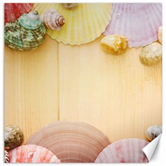 Sea Shell Pattern Canvas 12  X 12   by paulaoliveiradesign