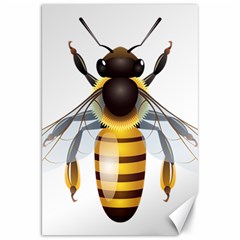 Bee Canvas 20  X 30   by BangZart