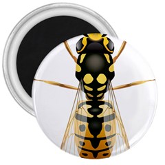 Wasp 3  Magnets by BangZart