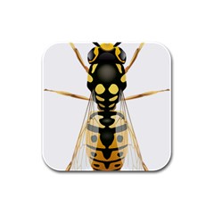 Wasp Rubber Square Coaster (4 Pack)  by BangZart