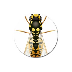 Wasp Magnet 3  (round) by BangZart