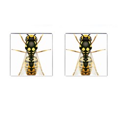 Wasp Cufflinks (square) by BangZart