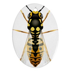 Wasp Oval Ornament (two Sides) by BangZart