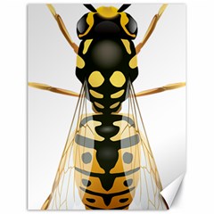 Wasp Canvas 18  X 24   by BangZart