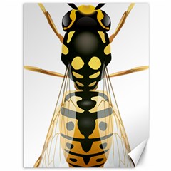 Wasp Canvas 36  X 48   by BangZart