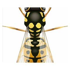 Wasp Double Sided Flano Blanket (small)  by BangZart