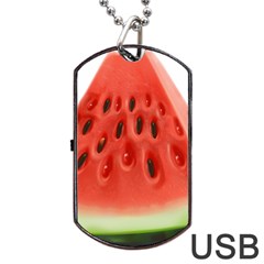 Piece Of Watermelon Dog Tag Usb Flash (one Side) by BangZart