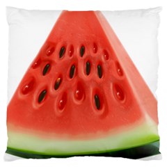 Piece Of Watermelon Standard Flano Cushion Case (two Sides) by BangZart