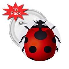 Ladybug Insects 2 25  Buttons (10 Pack) 