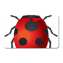 Ladybug Insects Magnet (rectangular) by BangZart