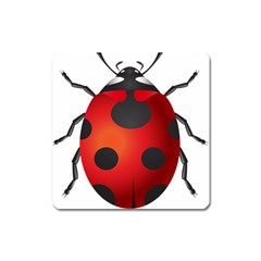 Ladybug Insects Square Magnet by BangZart