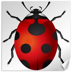 Ladybug Insects Canvas 12  X 12   by BangZart