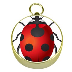 Ladybug Insects Gold Compasses by BangZart