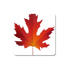 Autumn Maple Leaf Clip Art Square Magnet by BangZart