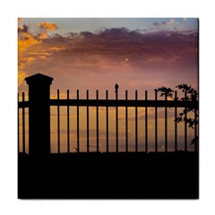 Small Bird Over Fence Backlight Sunset Scene Tile Coasters by dflcprints