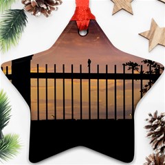 Small Bird Over Fence Backlight Sunset Scene Star Ornament (two Sides) by dflcprints