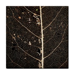 Vein Skeleton Of Leaf Tile Coasters by BangZart