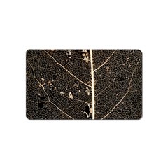 Vein Skeleton Of Leaf Magnet (name Card) by BangZart