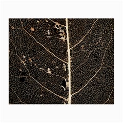 Vein Skeleton Of Leaf Small Glasses Cloth (2-side) by BangZart