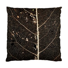 Vein Skeleton Of Leaf Standard Cushion Case (one Side) by BangZart