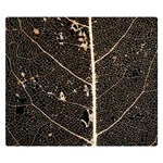 Vein Skeleton Of Leaf Double Sided Flano Blanket (Small)  50 x40  Blanket Front