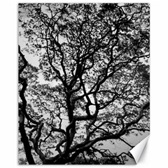 Tree Fractal Canvas 11  X 14   by BangZart