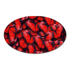 The Red Butterflies Sticking Together In The Nature Oval Magnet by BangZart