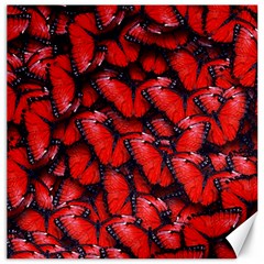 The Red Butterflies Sticking Together In The Nature Canvas 12  X 12   by BangZart