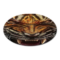 Tiger Face Oval Magnet by BangZart