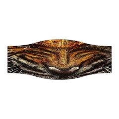 Tiger Face Stretchable Headband by BangZart