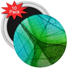 Sunlight Filtering Through Transparent Leaves Green Blue 3  Magnets (10 Pack)  by BangZart