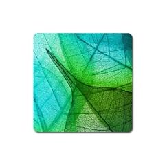 Sunlight Filtering Through Transparent Leaves Green Blue Square Magnet by BangZart