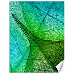 Sunlight Filtering Through Transparent Leaves Green Blue Canvas 12  X 16   by BangZart