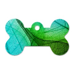 Sunlight Filtering Through Transparent Leaves Green Blue Dog Tag Bone (two Sides) by BangZart