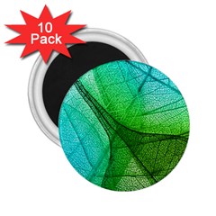 Sunlight Filtering Through Transparent Leaves Green Blue 2 25  Magnets (10 Pack)  by BangZart