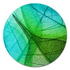 Sunlight Filtering Through Transparent Leaves Green Blue Magnet 5  (round) by BangZart