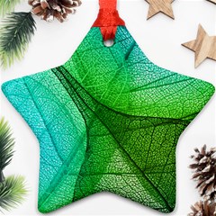 Sunlight Filtering Through Transparent Leaves Green Blue Star Ornament (two Sides) by BangZart