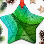 Sunlight Filtering Through Transparent Leaves Green Blue Star Ornament (Two Sides) Front