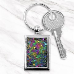 Starbursts Biploar Spring Colors Nature Key Chains (rectangle)  by BangZart