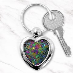 Starbursts Biploar Spring Colors Nature Key Chains (heart)  by BangZart