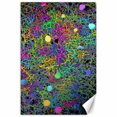 Starbursts Biploar Spring Colors Nature Canvas 24  X 36  by BangZart