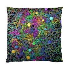 Starbursts Biploar Spring Colors Nature Standard Cushion Case (two Sides) by BangZart